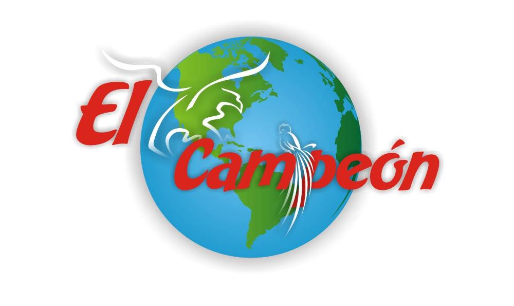 El Campeon Multiservices